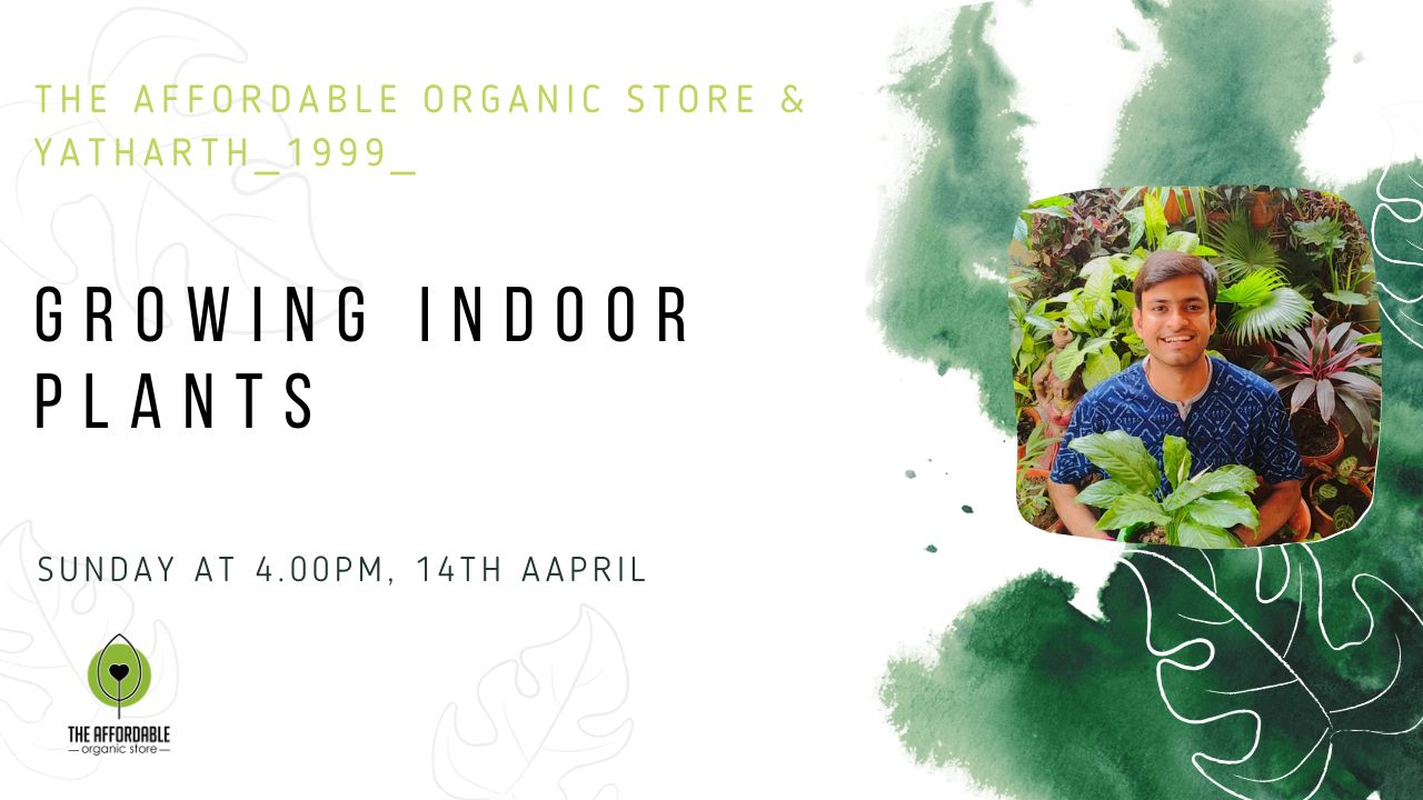 Workshop On Growing Indoor Plants