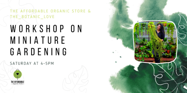 Workshop on Miniature Gardening.