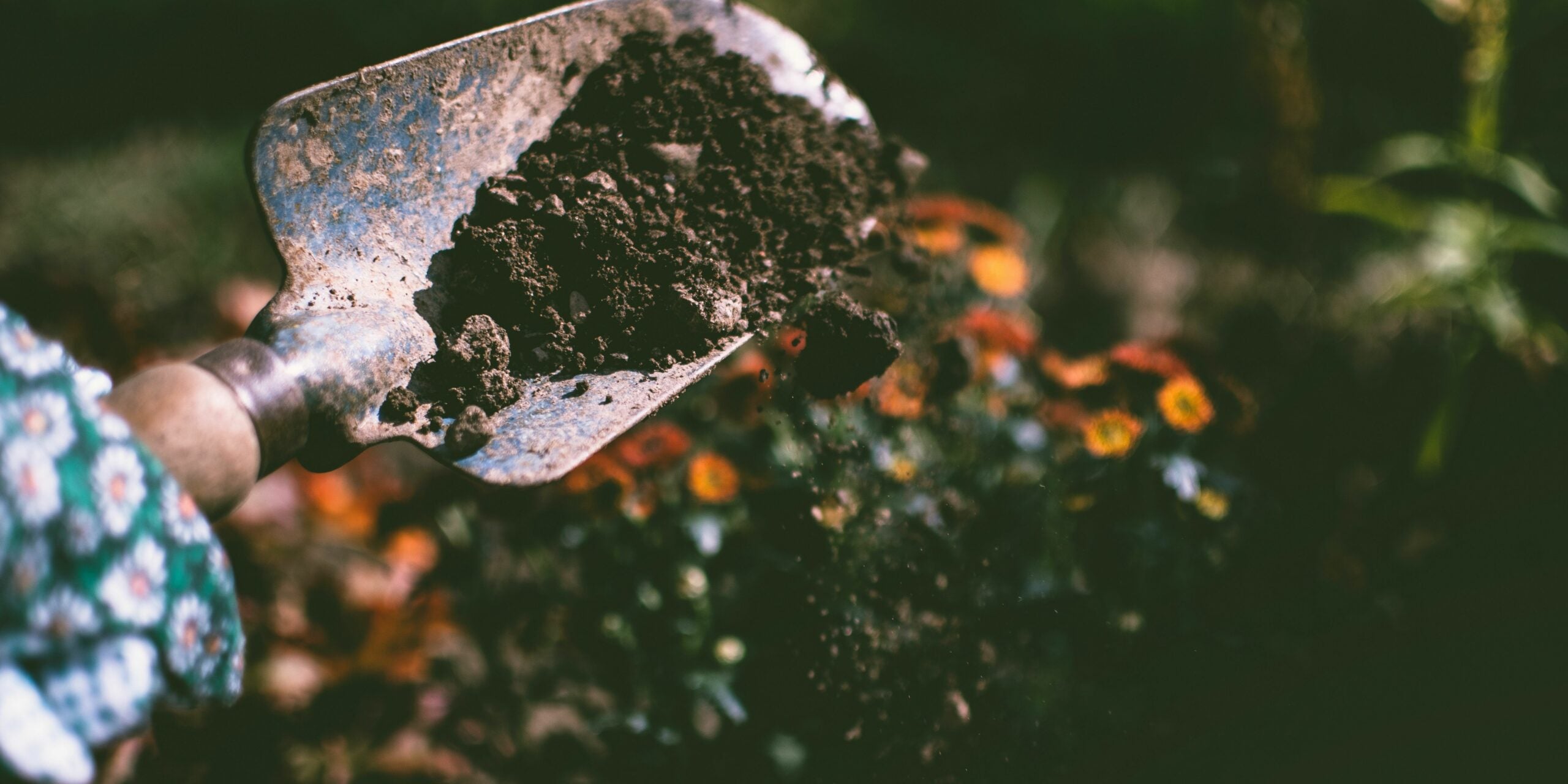 10 Must Have Gardening Essentials