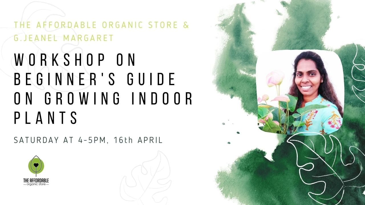 Workshop on Beginner's Guide on Growing Indoor Plants