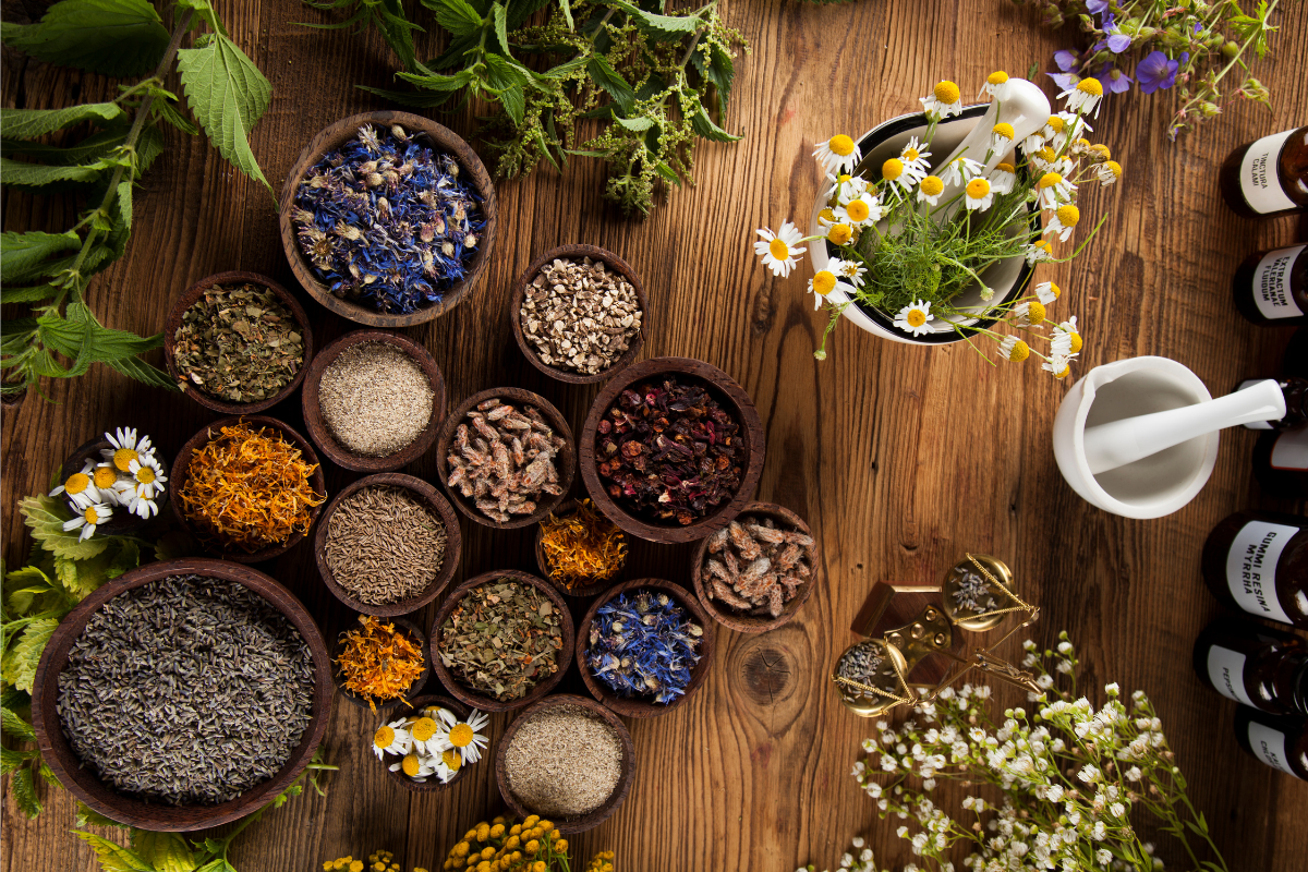 Beginner's Guide to Growing Medicinal Plants at Home  The Affordable  Organic Store