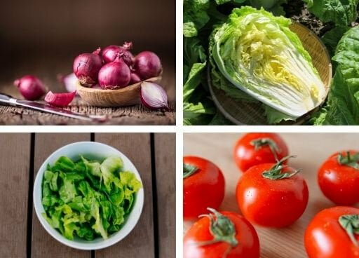 Combo Seeds, Burger Seeds Pack