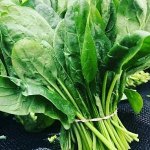 This is an image of a bunch of Spinach tied together against a dark background.