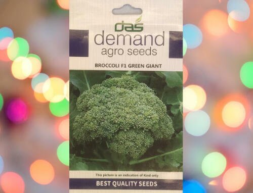 Packet of demand agro broccoli F1 green giant seeds kept against a colourful light background