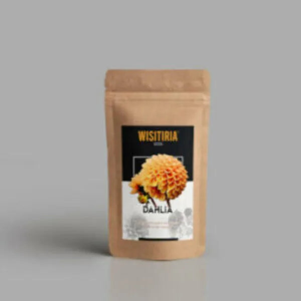 This is an image of a packet of Wisitiria Dahlia Seeds kept against grey color background.