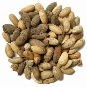 neem seeds for planting Buy Neem Seeds (3 Seeds)