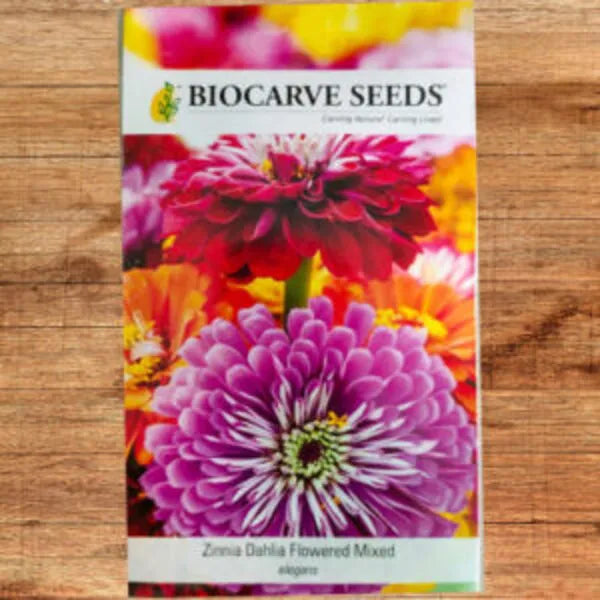 This is an image of a packet of Biocarve Zinnia Dahlia Flowered Mixed Seeds kept against a wooden background.