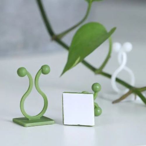 Image of a green plant climbing wall clips.