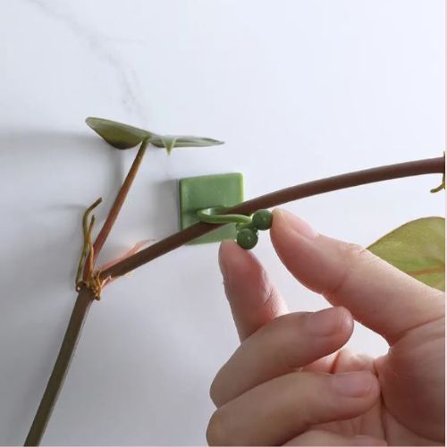 Image of a plant stem held by the clip.