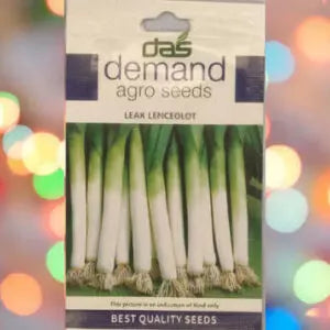 A blue white packet of Demand Agro Leak Lenceolot Seeds kept against a colourful light background