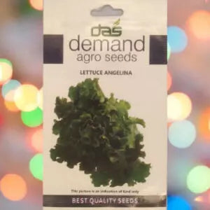 A blue white packet of Demand Agro Lettuce Angelina Seeds kept against a colourful light background