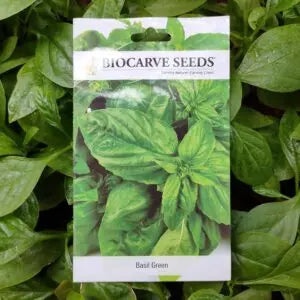 This is an image of a packet of Biocarve Basil Green Seeds kept against a green leafy background.