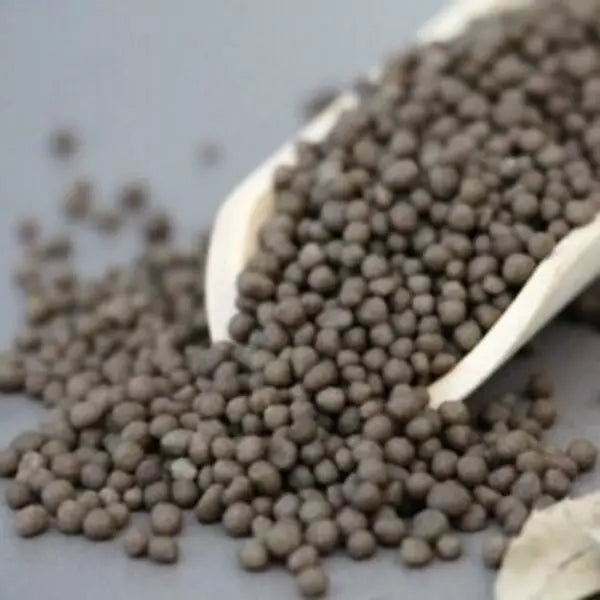 Small circle shaped DAP granules in a white spoon.