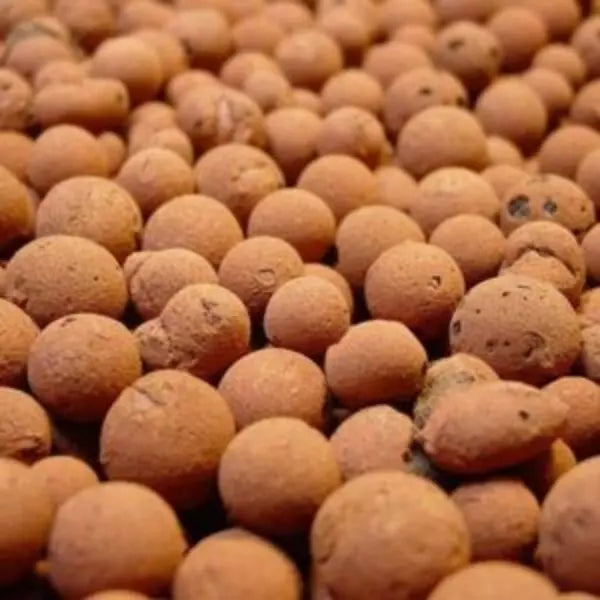 Best Leca Clay Balls