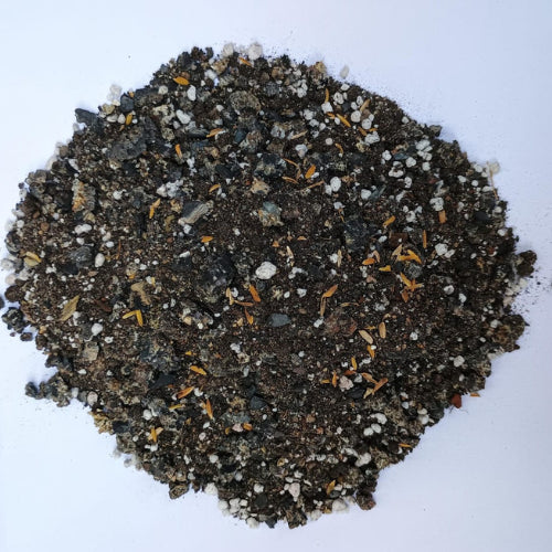 potting mix online india Buy Plant Cactus and Succulent Potting Mix(100 grams)