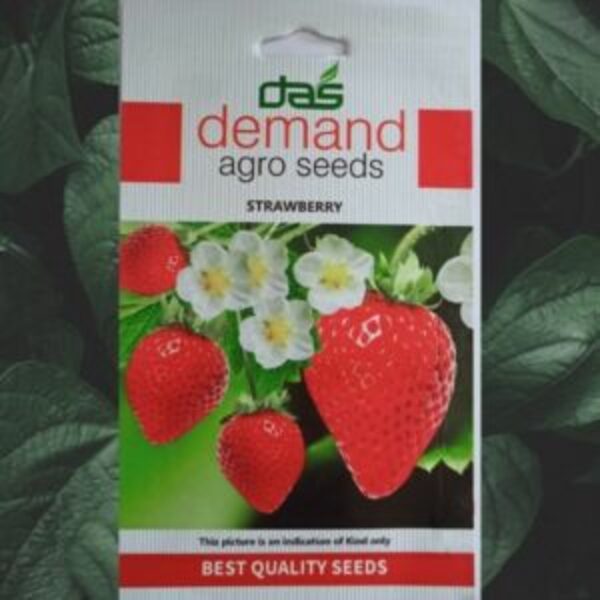 buy organic strawberry seeds Buy Demand Agro Strawberry Seeds