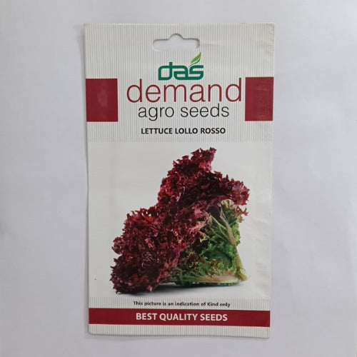 Demand Agro Lettuce Lollo Rosso