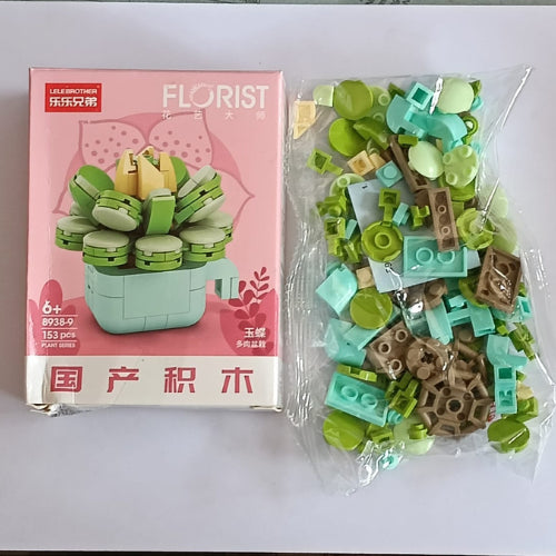 Echeveria Galuca Building Block Toy Plant multi colour blocks