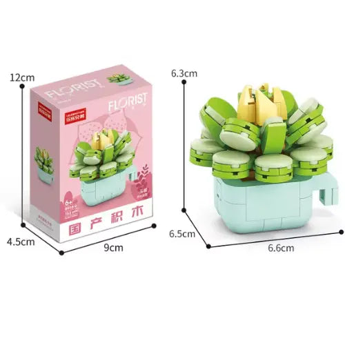 Echeveria Galuca Building Block