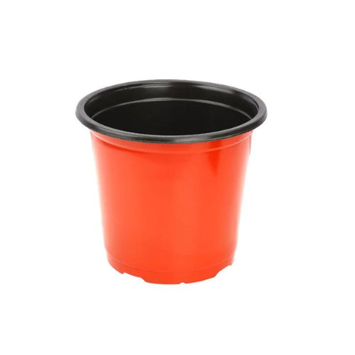 Gardening TFP Pot 6 inch
