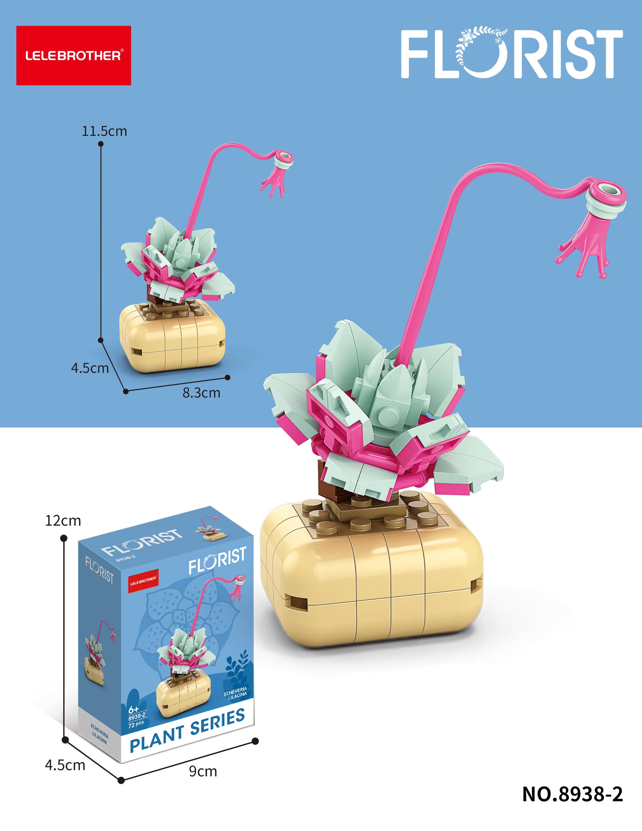 Image of Echeveria lilacina Building block set