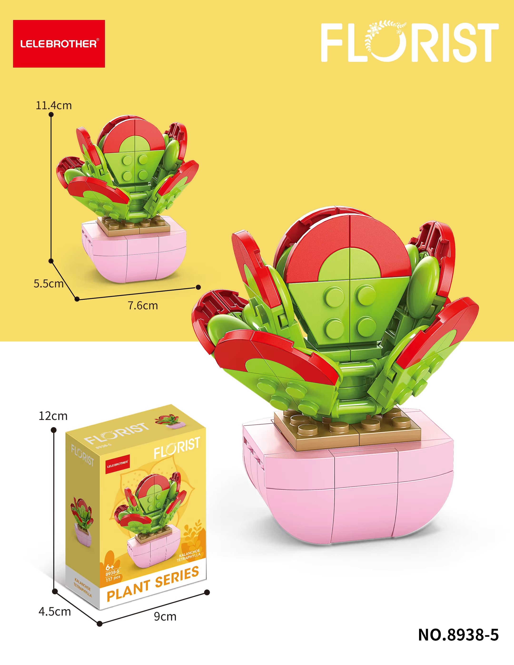 Kalanchoe Thyrsifolia Building block set