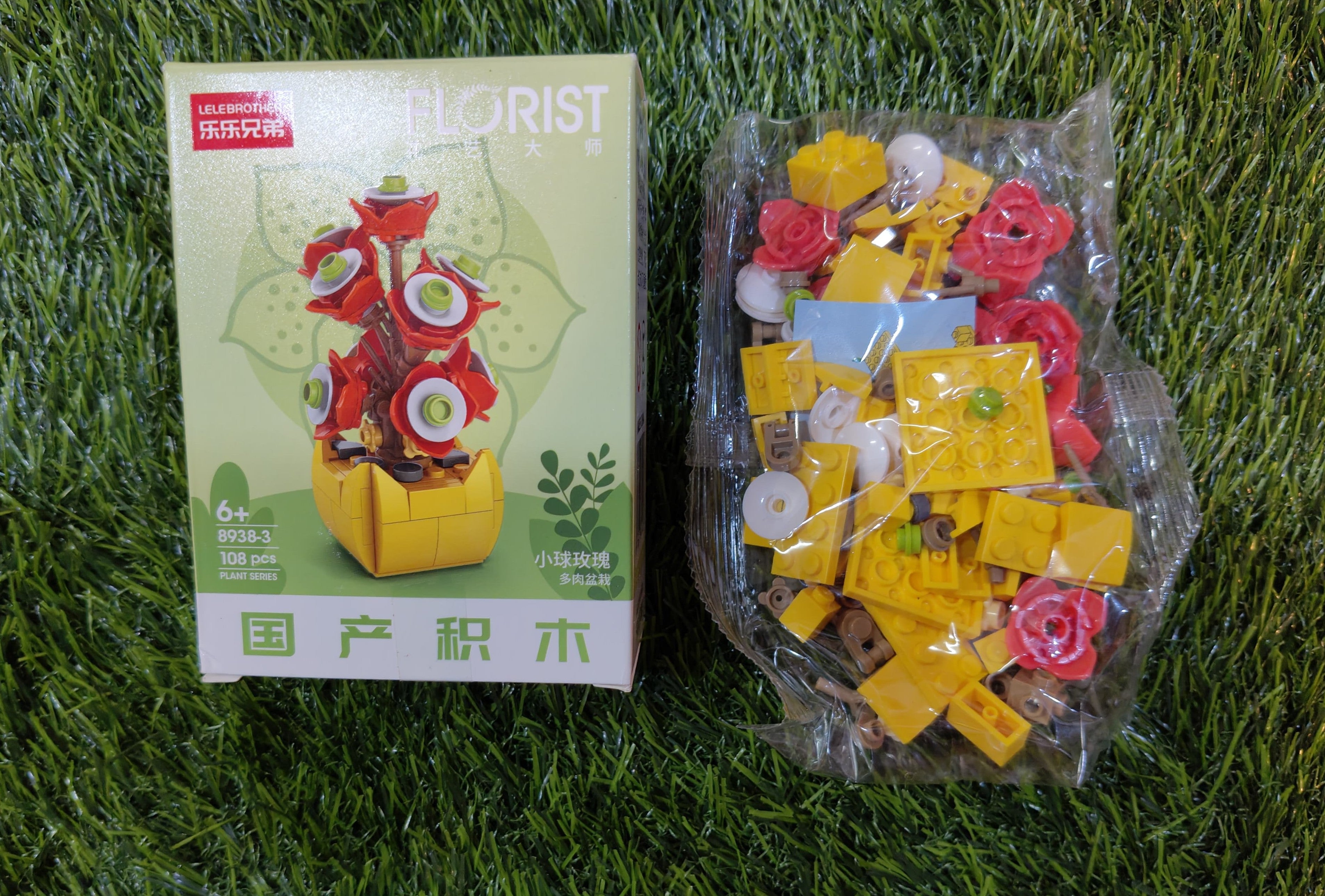 Parts of the sedum spurium Miniature