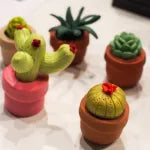 Miniature Cactus Assorted