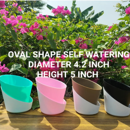 Various shapes and colours of oval self watering pots.