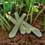 Plant Tag Ice Cream Sticks in a set of 5.