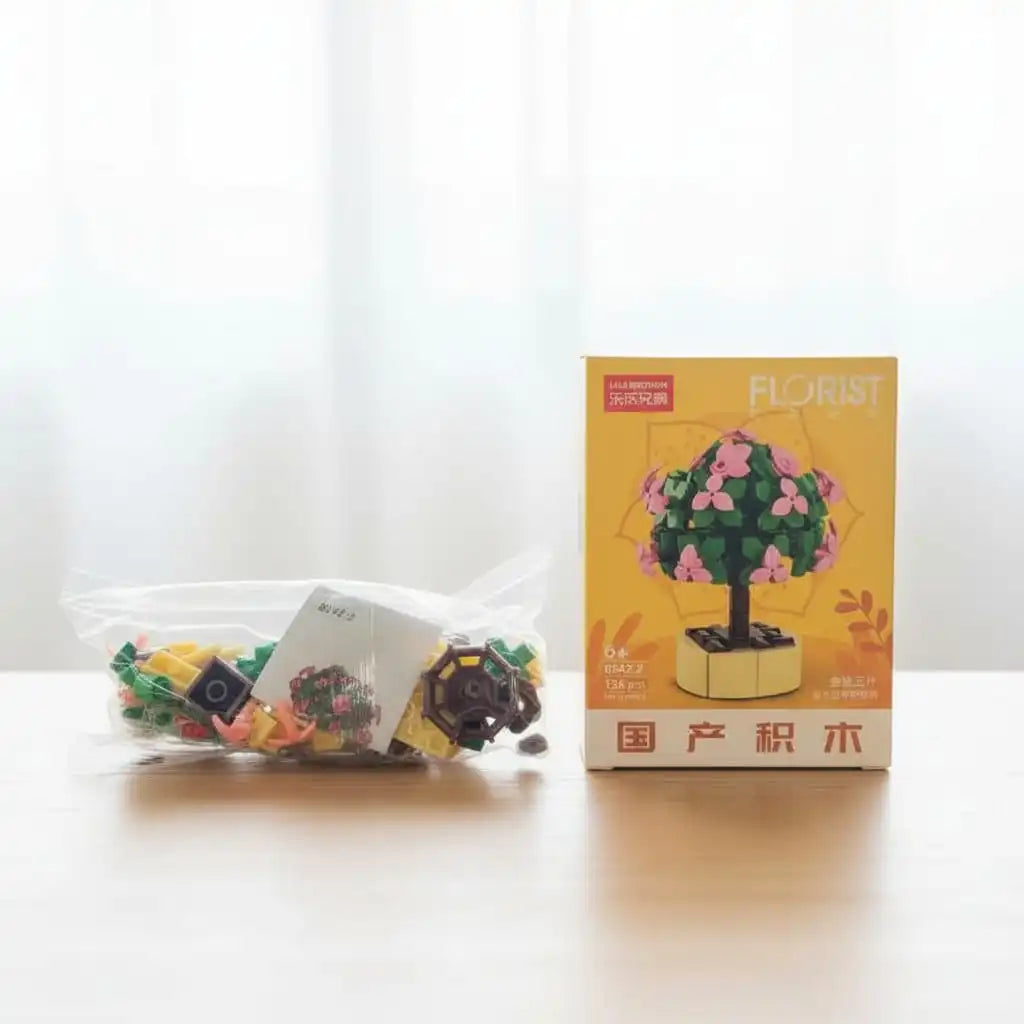 Portulacaria Afra Building Block Toy Plant(1pc)