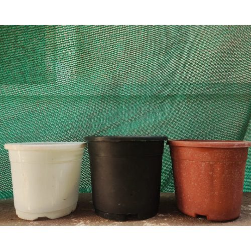 used pots for plants for sale Buy Pre-Loved (Old) Gardening Pot 4-inch(1pc)- Rs.10/- Sale Online India – The Affordable Organic Store