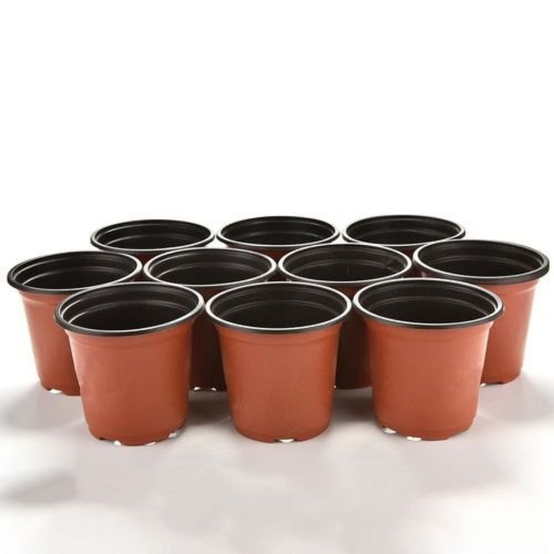 Multiple Thermoforming Pot.