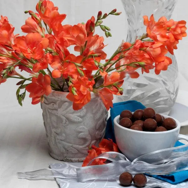 Image of the Tritonia Plant.