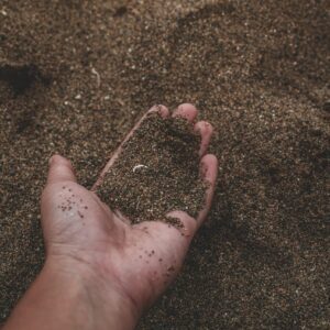 Vermi Compost in a hand