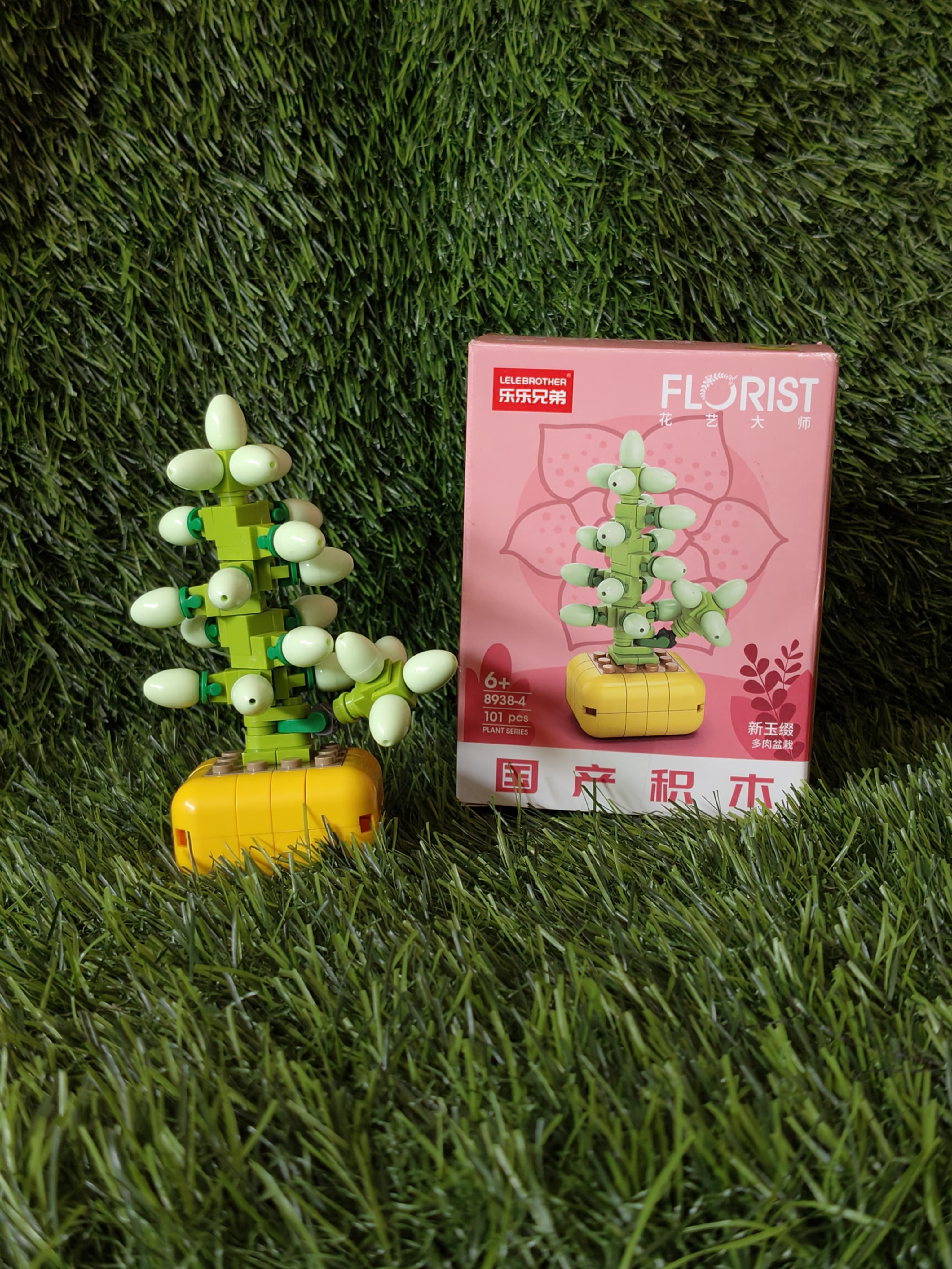 Close-Up of the Sedum Burrito miniature