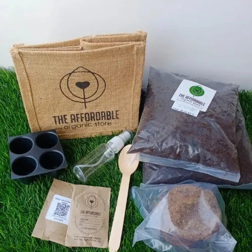 Several gardening tools are kept together on the ground.