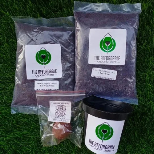 Eco-Friendly Seed ball gift pack