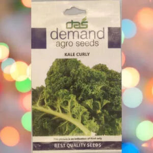 Kale Curly