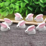 Miniature Mini Rabbit