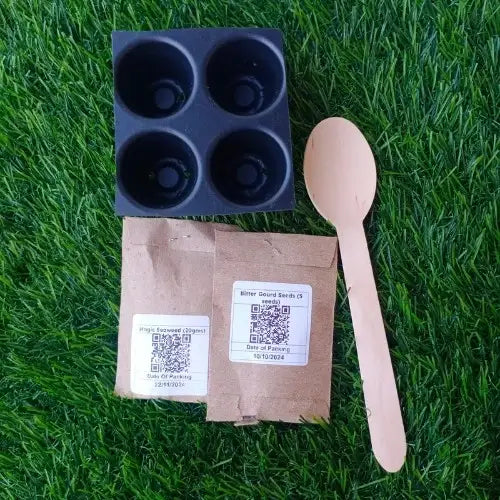 spoon,seedling tray,2 two packet seeds on green mat