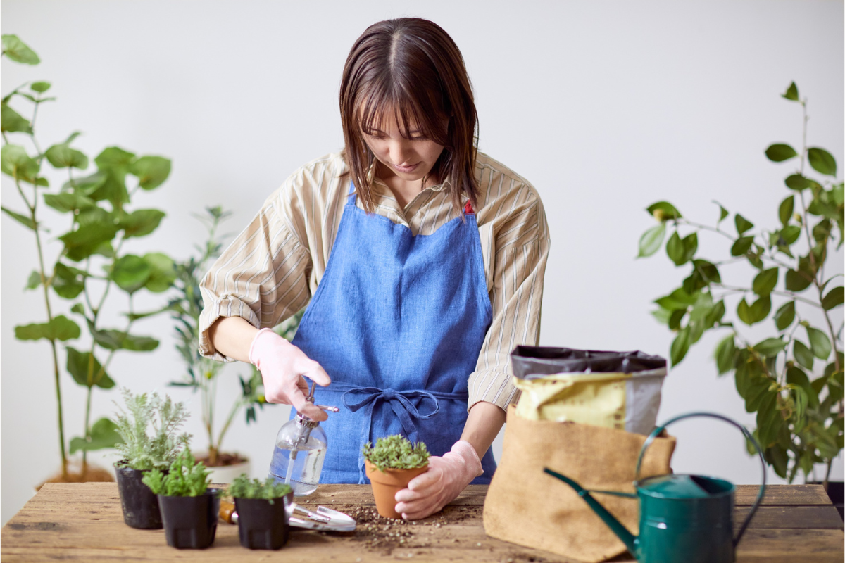 Top Trailing Plants For Your Home Garden