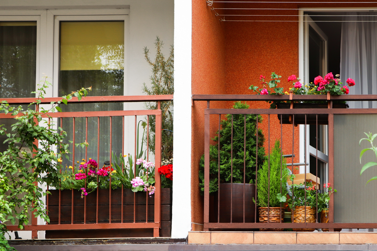 Simple Ways to Protect Your Balcony Plants from Cold Weather