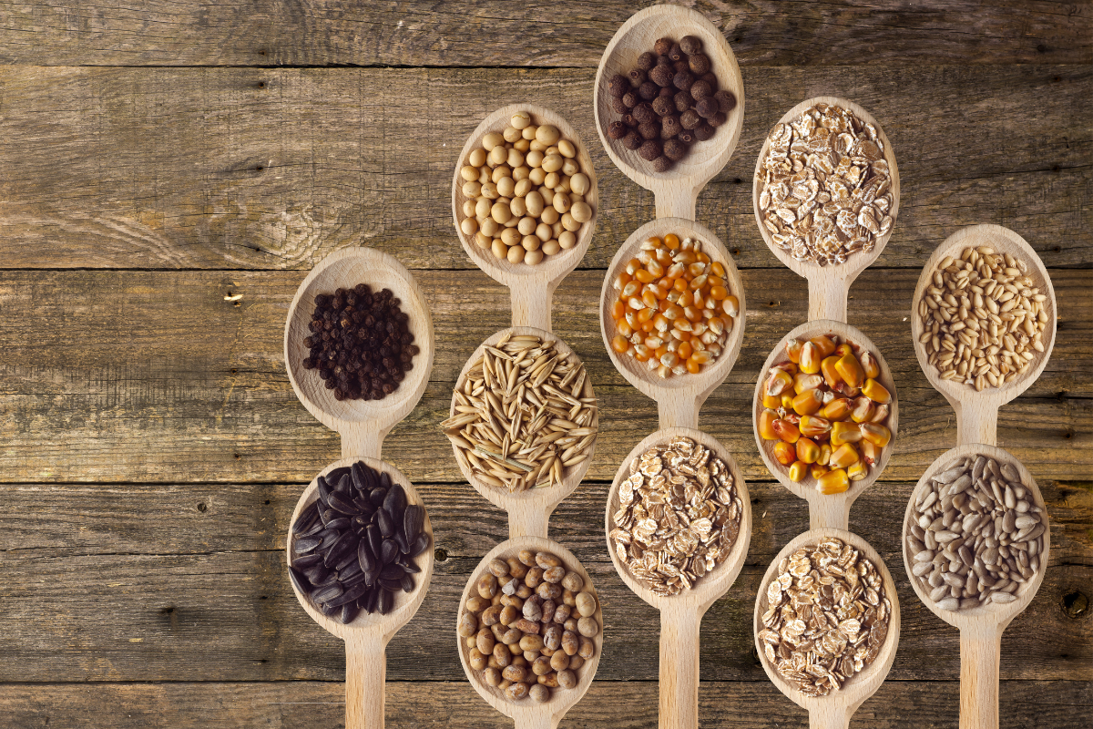 Top 5 Winter Vegetable Seeds for a Healthy Vegetable Garden