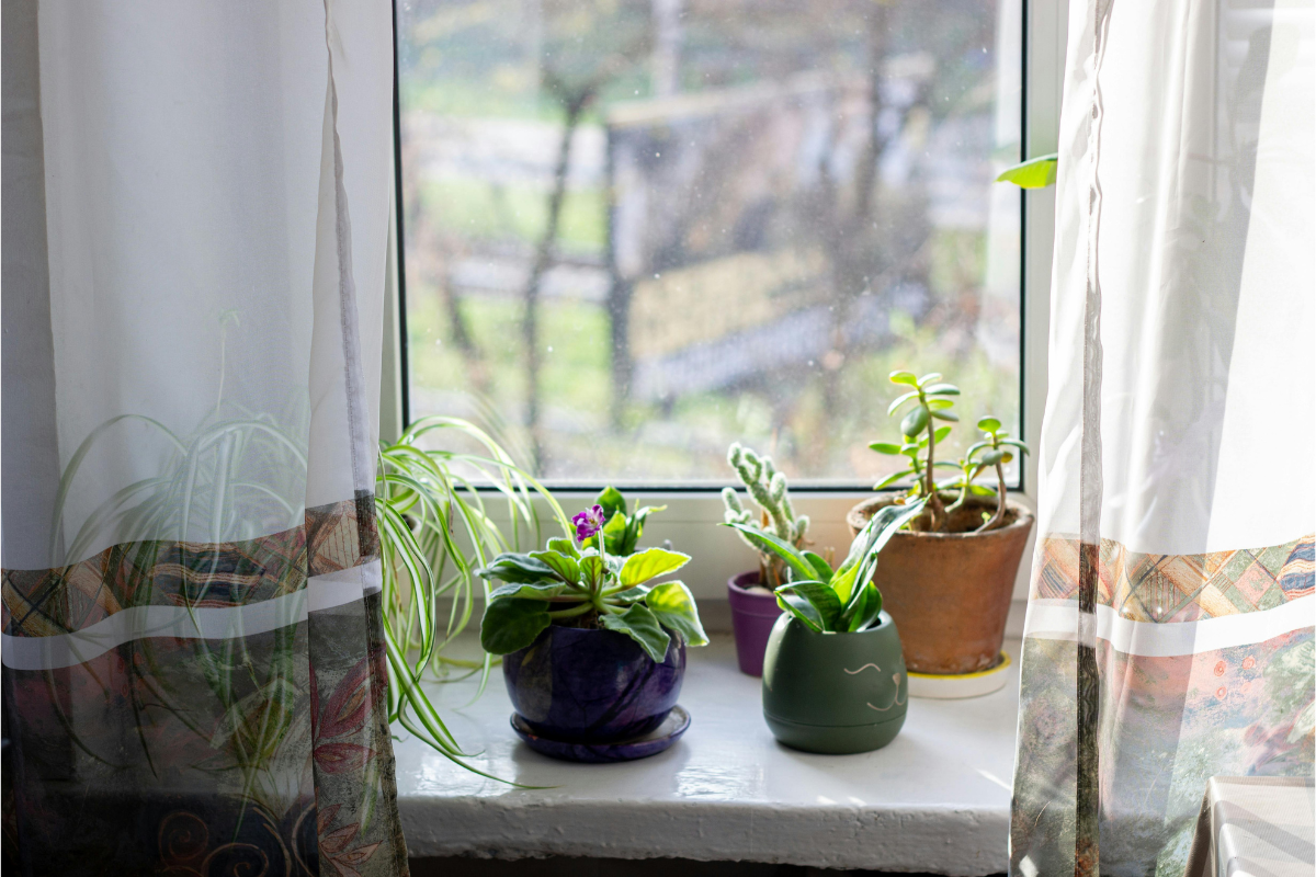 Gardening for Beginners: Your Simple Guide to Start Strong