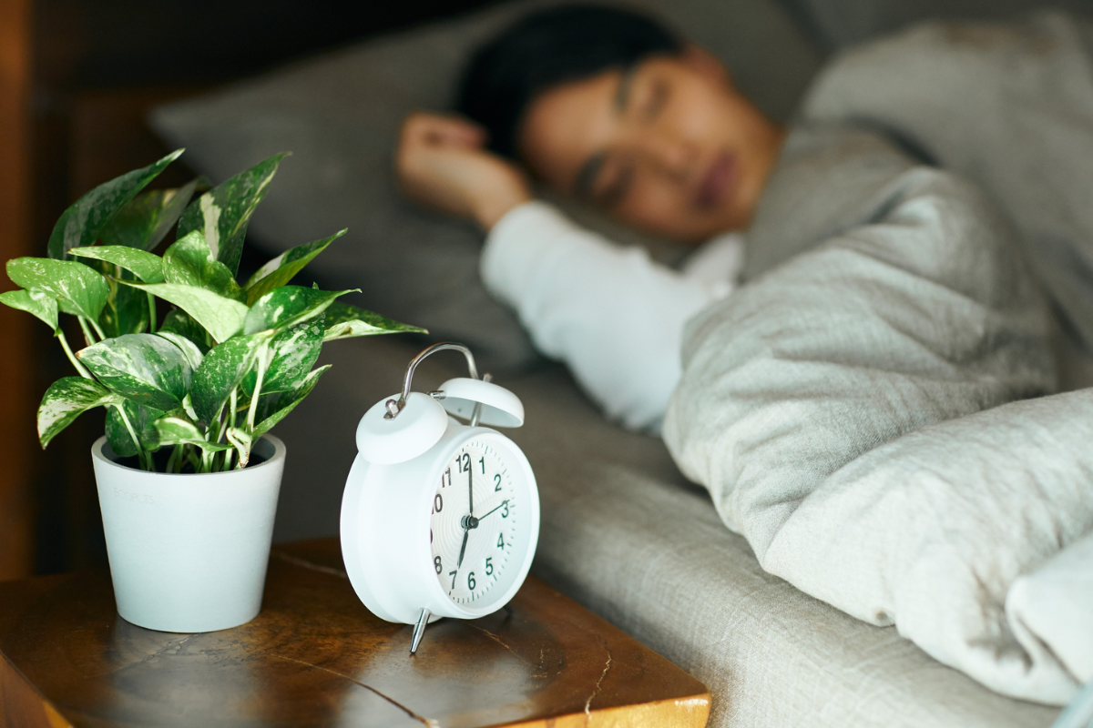 5 Bedroom Plants for Better Sleep