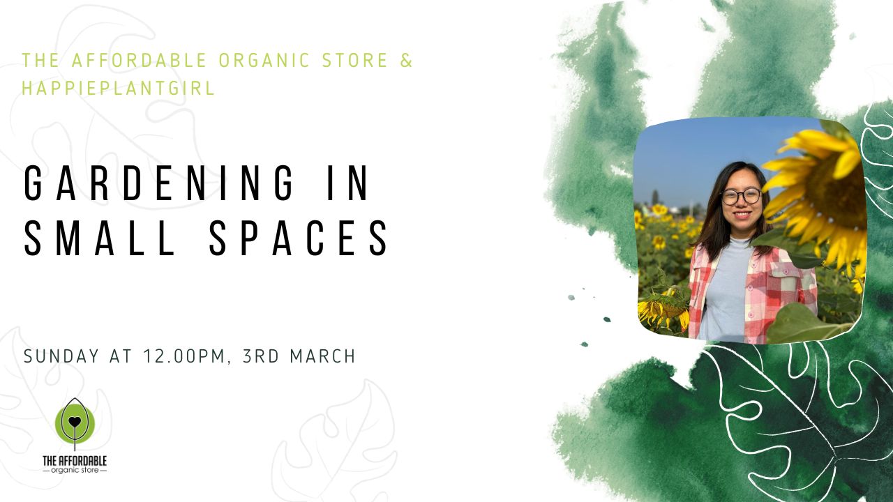 Workshop On Gardening In Small Spaces