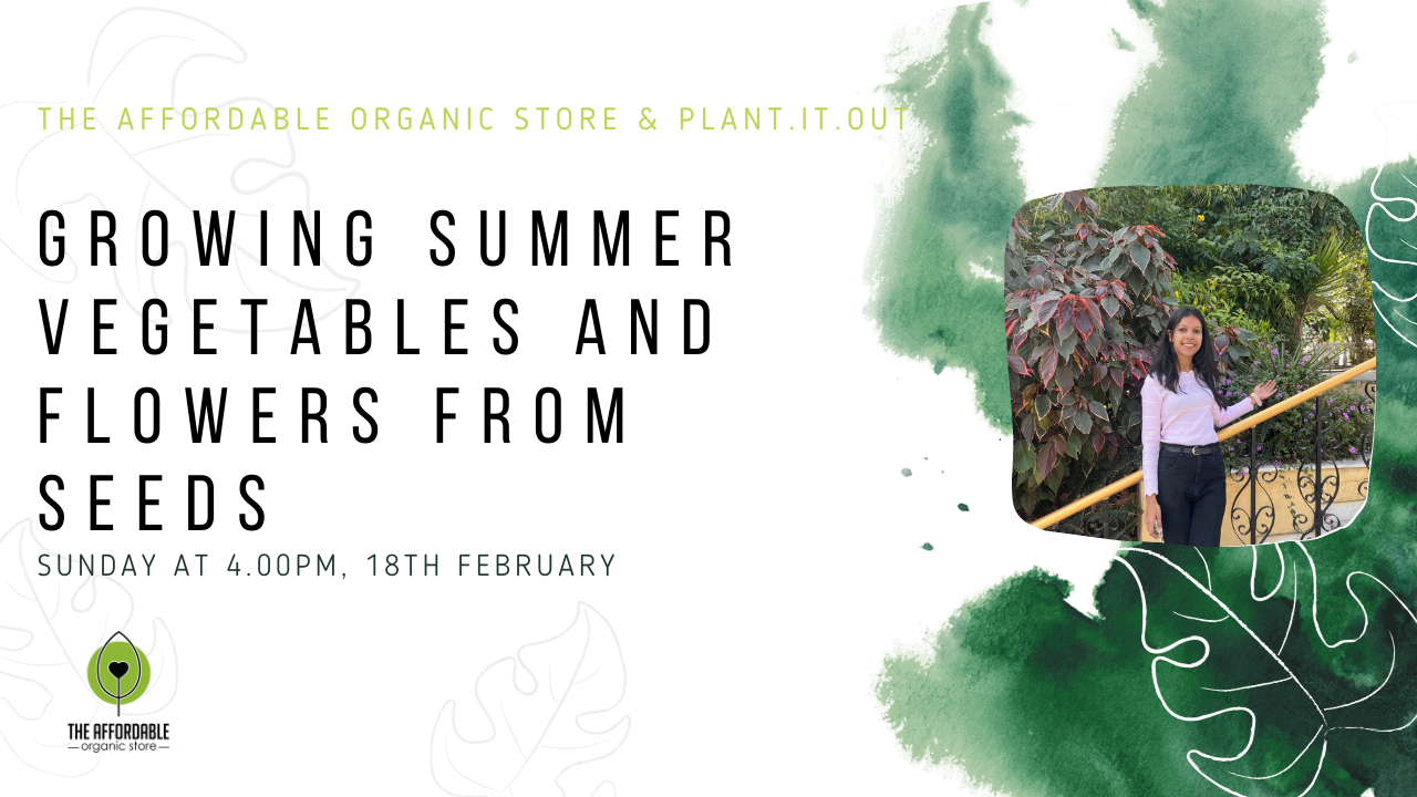 Workshop on Growing Summer Vegetables And Flowers From Seeds