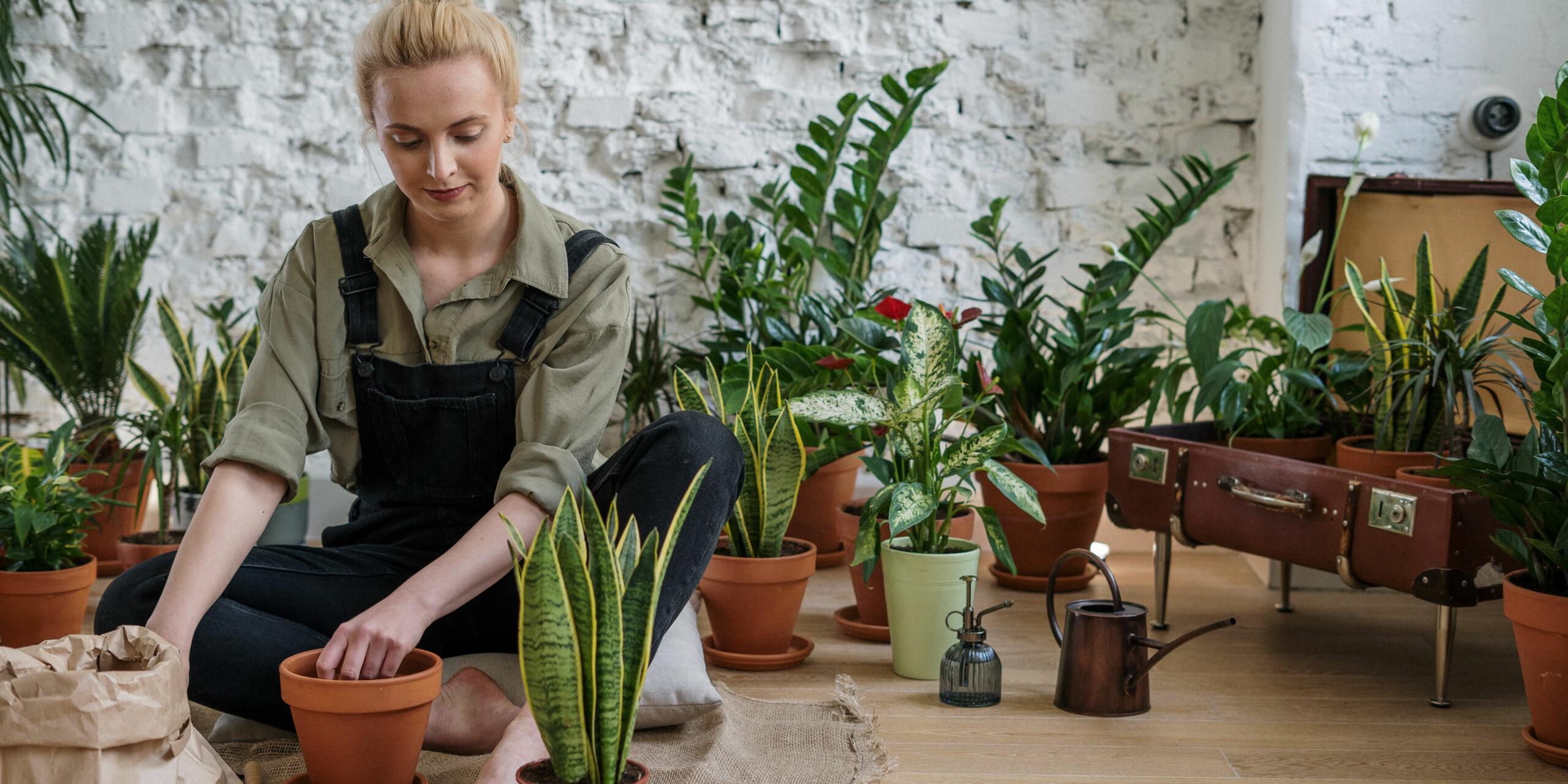 5 Gardening Influencers To Follow In August