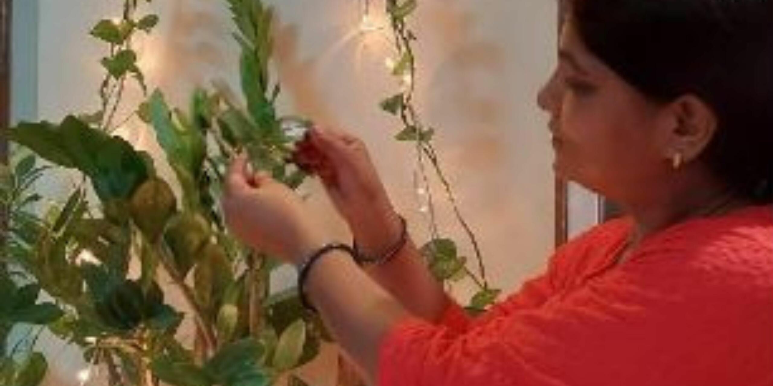 Kalakreations Where Gardening Meets Creativity
